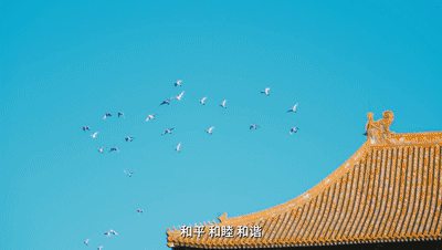2b7ed4f666cbd1a1817dfc8a68fd5eaa_636a20b3f2a7438a8f96c94c8c603773.gif