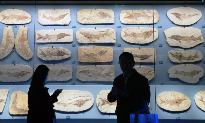 探訪遼寧朝陽(yáng)古生物化石博物館