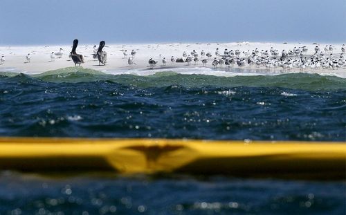 墨西哥灣水下油田泄漏或將對陸地造成永久損害